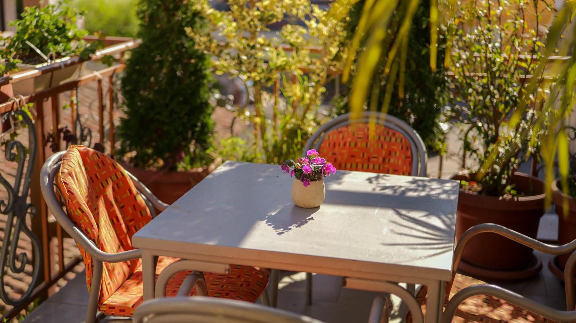 Shkodra Guest House & Trips Exterior photo
