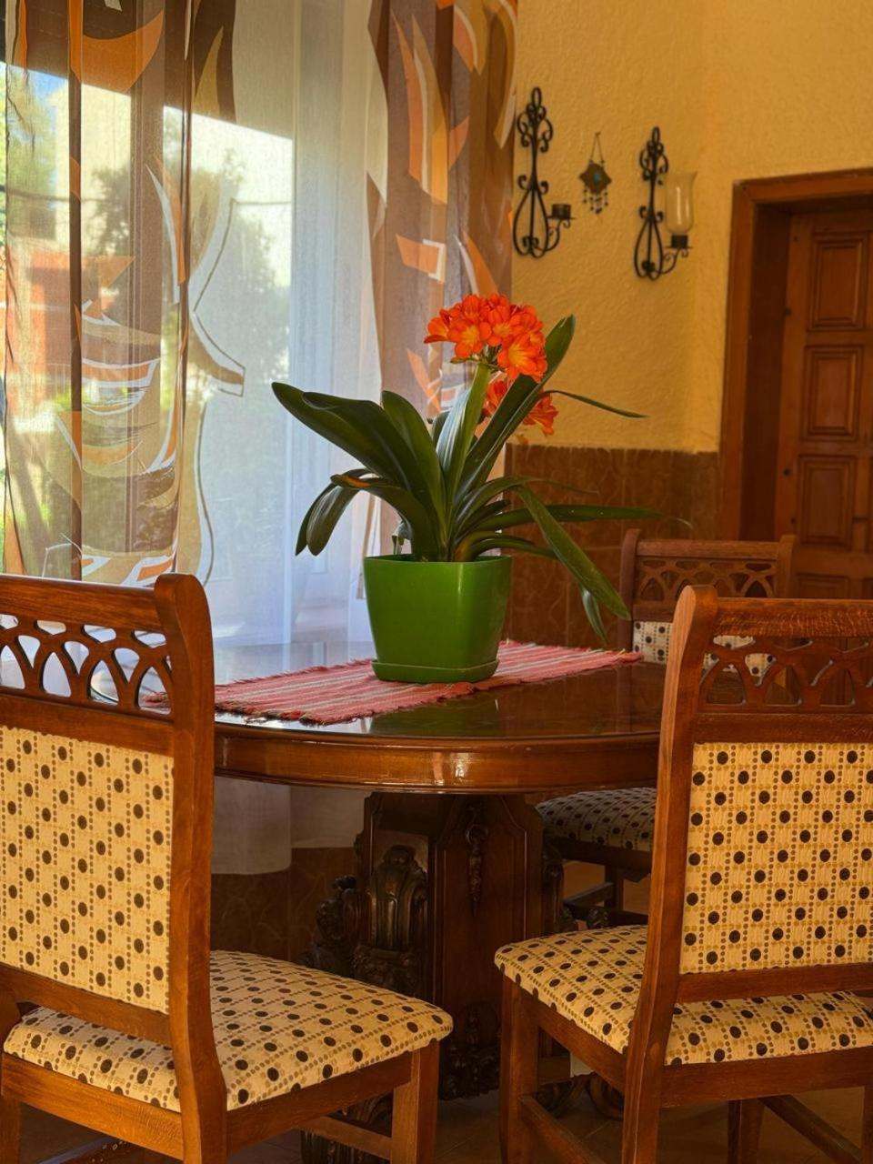 Shkodra Guest House & Trips Exterior photo